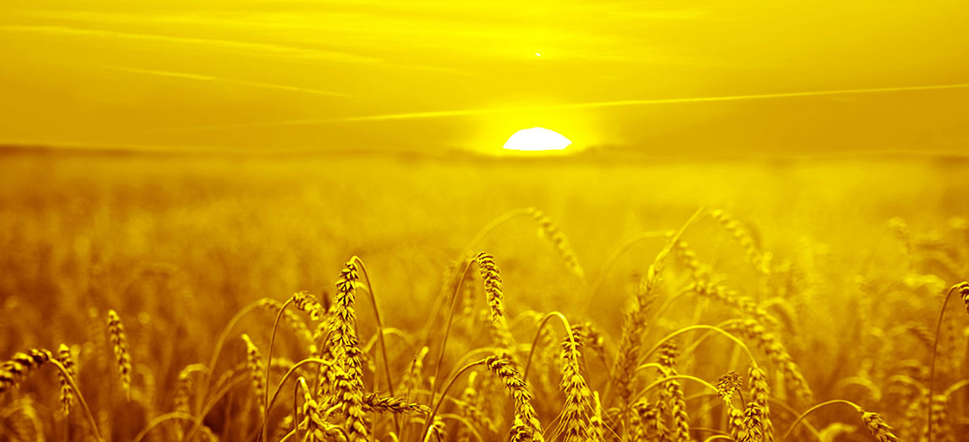 Ci piace offrire soluzioni a colori